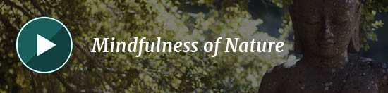 Mindfulness of Nature